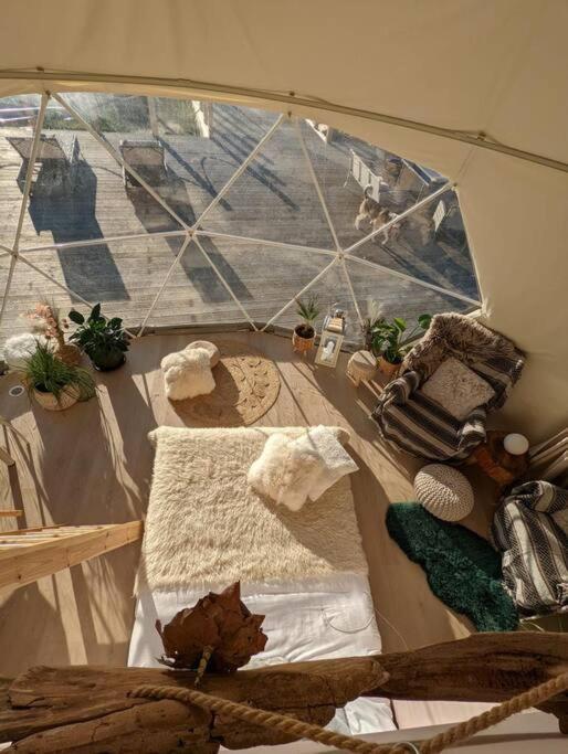 Beautiful Located Dome Hotel Wapnica  Ngoại thất bức ảnh